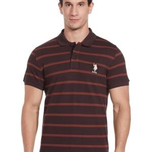 u-s-polo-assn-mens-striped-regular-fit-polo-shirt